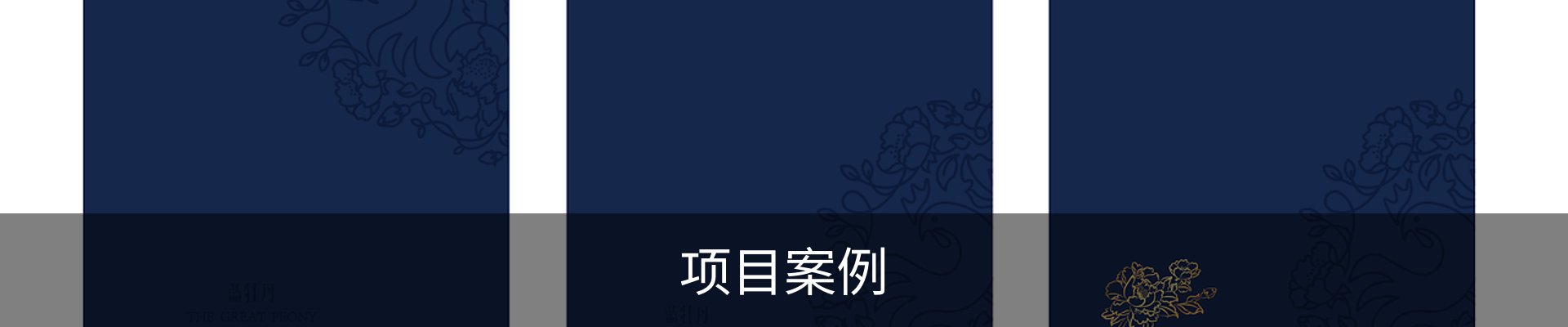 项目案例